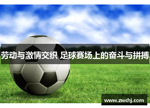劳动与激情交织 足球赛场上的奋斗与拼搏
